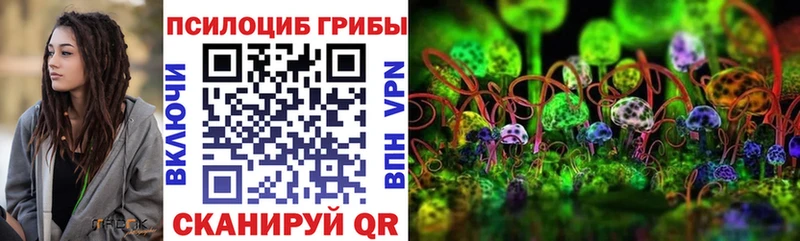 Псилоцибиновые грибы Psilocybine cubensis  Муром 