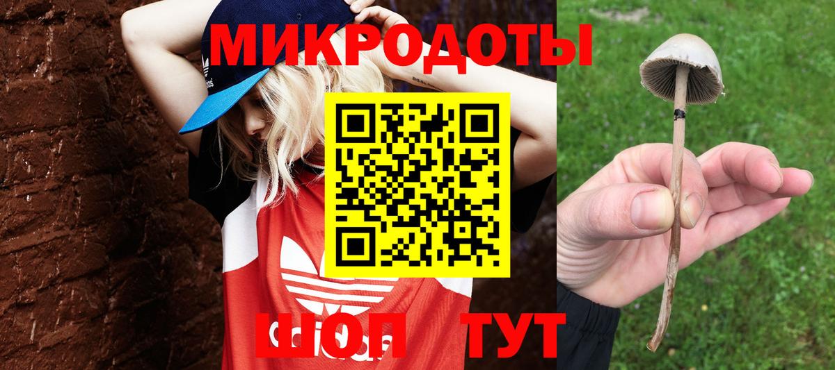 Псилоцибиновые грибы ЛСД Муром