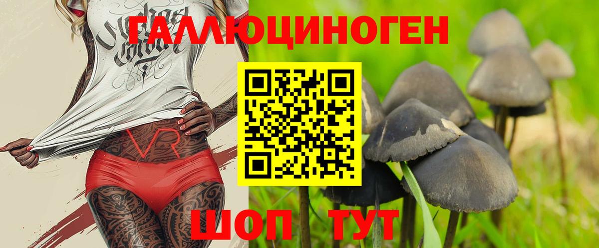 Псилоцибиновые грибы мицелий  Вход с VPN  Муром 
