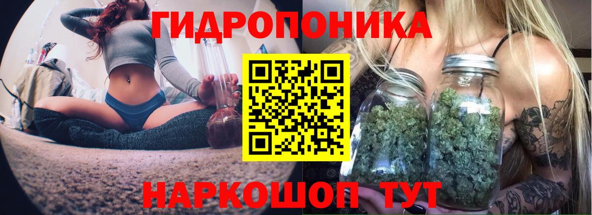 Бошки Шишки LSD WEED  Вход с VPN  Марихуана Ganja  Муром  МАРИХУАНА сатива 